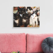 Cutest Baby Animals | Black & White Kittens Canvas Afdruk (Insitu (Woonkamer))