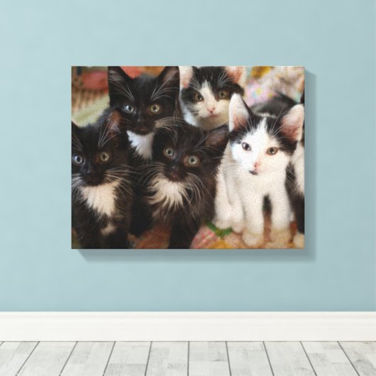 Cutest Baby Animals | Black & White Kittens Canvas Afdruk (Insitu (Houten vloer))