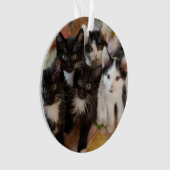 Cutest Baby Animals | Black & White Kittens Ornament (voorkant)