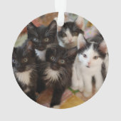 Cutest Baby Animals | Black & White Kittens Ornament (achterkant)