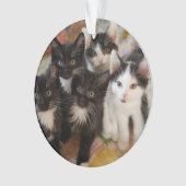 Cutest Baby Animals | Black & White Kittens Ornament (voorkant)