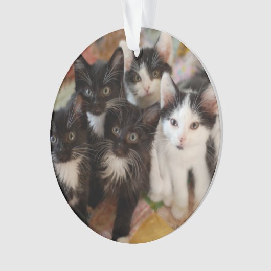 Cutest Baby Animals | Black & White Kittens Ornament (voorkant)