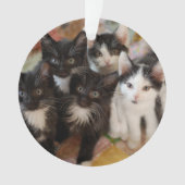 Cutest Baby Animals | Black & White Kittens Ornament (voorkant)