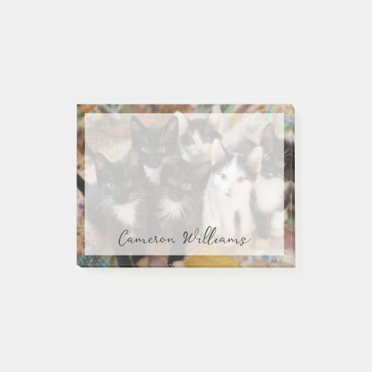 Cutest Baby Animals | Black & White Kittens Post-it® Notes (Voorkant)