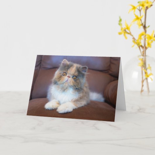 Cutest Baby Animals | Calico Persian Kitten Kaart (Gele Bloem)
