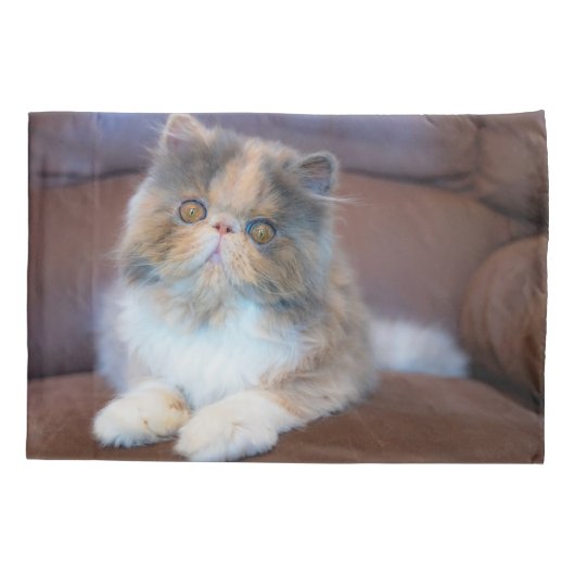 Cutest Baby Animals | Calico Persian Kitten Kussensloop (Achterkant)