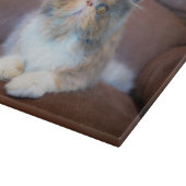 Cutest Baby Animals | Calico Persian Kitten Snijplank (Hoek)