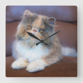 Cutest Baby Animals | Calico Persian Kitten Vierkante Klok (Voorkant)
