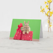 Cutest Baby Animals | Christmas Holiday Bunny Kaart (Gele Bloem)