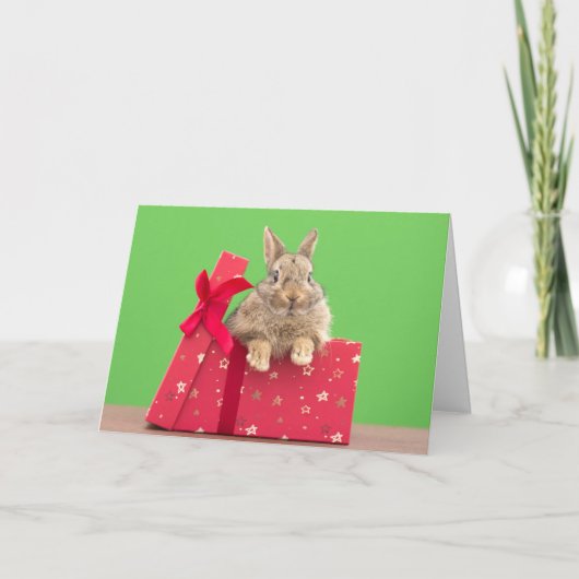 Cutest Baby Animals | Christmas Holiday Bunny Kaart (Voorkant)