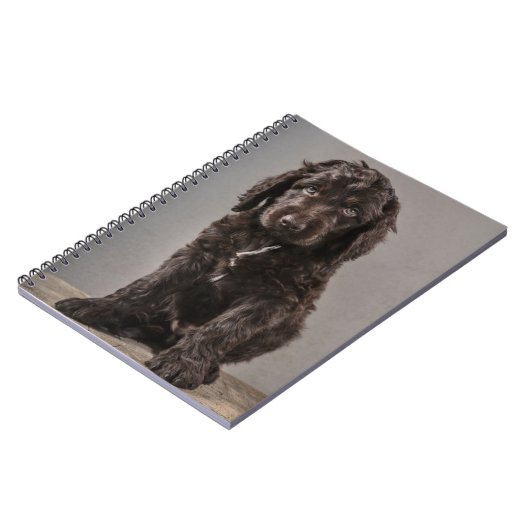 Cutest Baby Animals | Cockapoo Puppy Notitieboek (Linkerzijde)