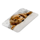 Cutest Baby Animals | Cocker Spaniel Puppy Magneet (Linkerzijde)