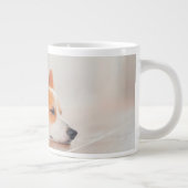 Cutest Baby Animals | Corgi Sleeping Grote Koffiekop (Rechts)