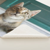 Cutest Baby Animals | Cute Tabby Kitten Sherpa Deken (3/4)