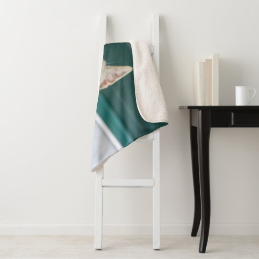 Cutest Baby Animals | Cute Tabby Kitten Sherpa Deken (In situ)