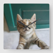 Cutest Baby Animals | Cute Tabby Kitten Vierkante Klok (Voorkant)