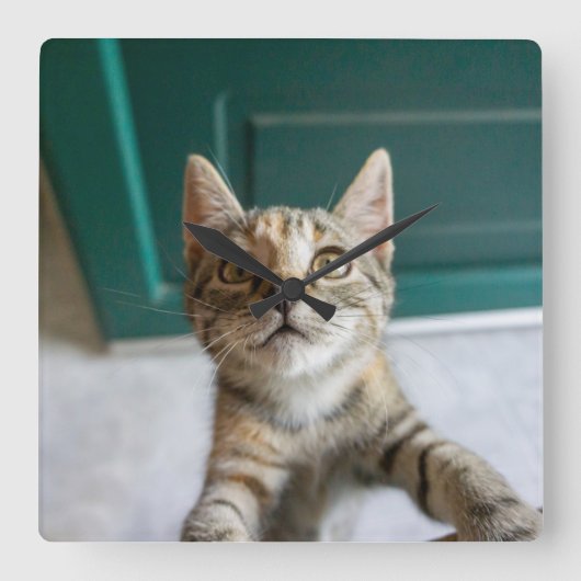 Cutest Baby Animals | Cute Tabby Kitten Vierkante Klok (Voorkant)