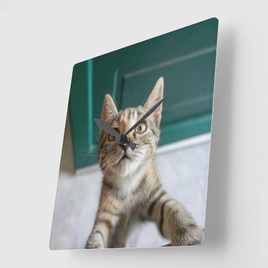 Cutest Baby Animals | Cute Tabby Kitten Vierkante Klok (Hoek)