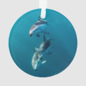 Cutest Baby Animals | Dolphin Family Ornament (achterkant)