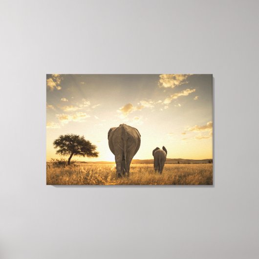 Cutest Baby Animals | Elephant Calf & Mother Canvas Afdruk (Voorkant)
