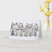 Cutest Baby Animals | Emperor Penguin Chicks Kaart (Gele Bloem)