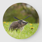 Cutest Baby Animals | European Hedgehog Grote Klok (Voorkant)