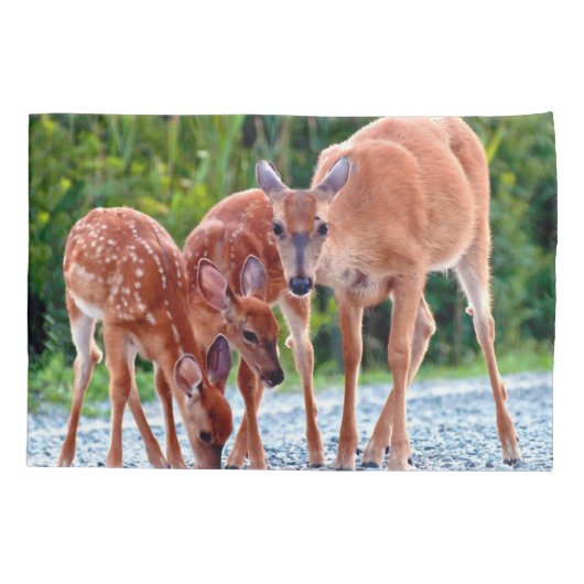 Cutest Baby Animals | Fawn with Babies Kussensloop (Achterkant)