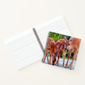 Cutest Baby Animals | Fawn with Babies Notitieboek (Binnen)