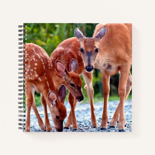 Cutest Baby Animals | Fawn with Babies Notitieboek (Voorkant)