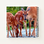 Cutest Baby Animals | Fawn with Babies Notitieboek (Achterkant)