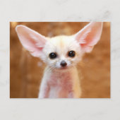 Cutest Baby Animals | Fennec Fox Briefkaart (Voorkant)