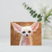 Cutest Baby Animals | Fennec Fox Briefkaart (Staand voorkant)