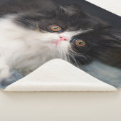 Cutest Baby Animals | Fluffy B&W Kitten Sherpa Deken (3/4)