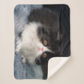 Cutest Baby Animals | Fluffy B&W Kitten Sherpa Deken (Voorkant)