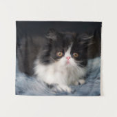 Cutest Baby Animals | Fluffy B&W Kitten Wandkleed (Voorkant (horizontaal))
