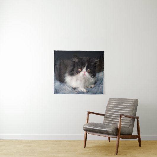 Cutest Baby Animals | Fluffy B&W Kitten Wandkleed (In Situ (horizontaal))