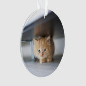 Cutest Baby Animals | Fluffy Orange Kitten Ornament (voorkant)