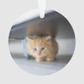 Cutest Baby Animals | Fluffy Orange Kitten Ornament (achterkant)