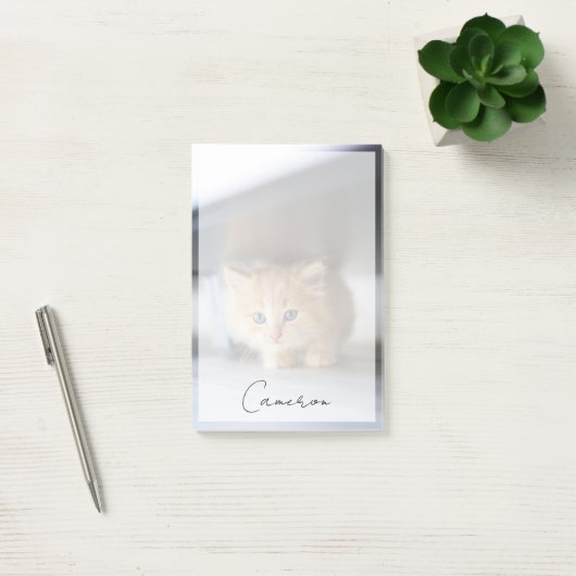 Cutest Baby Animals | Fluffy Orange Kitten Post-it® Notes (Kantoor)