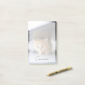 Cutest Baby Animals | Fluffy Orange Kitten Post-it® Notes (Op bureau)