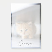 Cutest Baby Animals | Fluffy Orange Kitten Post-it® Notes (Voorkant)