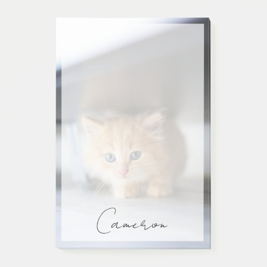 Cutest Baby Animals | Fluffy Orange Kitten Post-it® Notes (Voorkant)