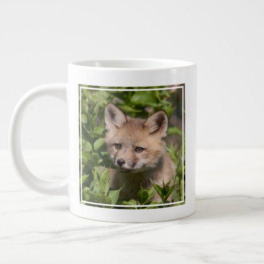 Cutest Baby Animals | Fox Kit Grote Koffiekop (Links)