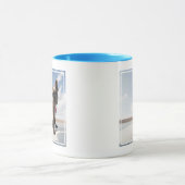 Cutest Baby Animals | French Bulldog Boating Mok (Midden)