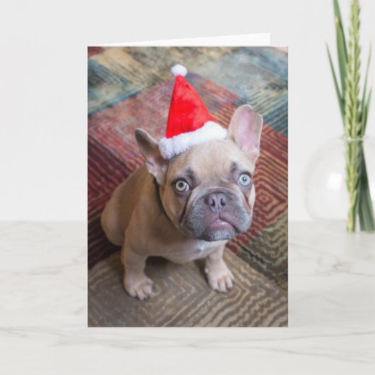 Cutest Baby Animals | French Bulldog Christmas Kaart (Voorkant)