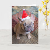 Cutest Baby Animals | French Bulldog Christmas Kaart (Gele Bloem)