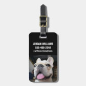 Cutest Baby Animals | French Bulldog Face Bagagelabel (Voorkant verticaal)