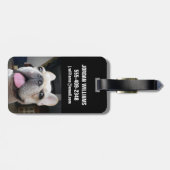 Cutest Baby Animals | French Bulldog Face Bagagelabel (Achterkant horizontaal)