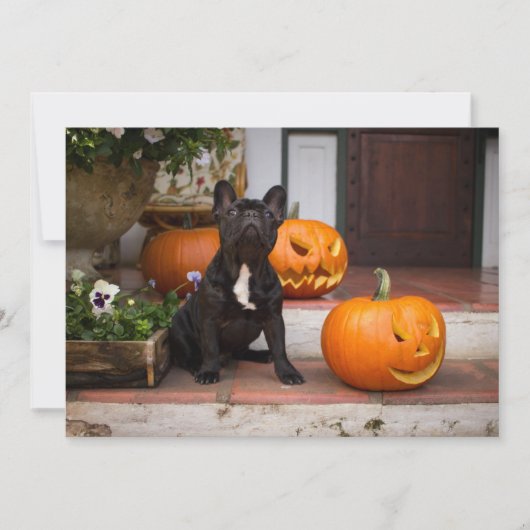 Cutest Baby Animals | French Bulldog Halloween Bedankkaart (Voorkant)
