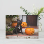 Cutest Baby Animals | French Bulldog Halloween Bedankkaart (Staand voorkant)